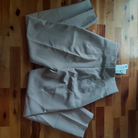 Zara high-waisted pleated slacks, size S, light tan - Picture 2 of 8